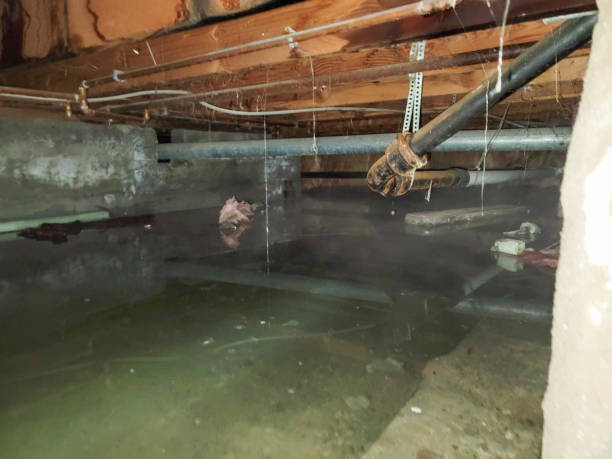 Best Commercial water damage restoration  in Dolgeville, NY