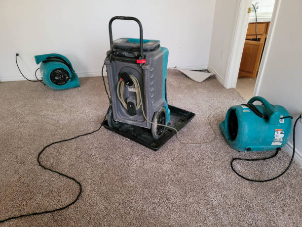 Best 24/7 water damage repair  in Dolgeville, NY