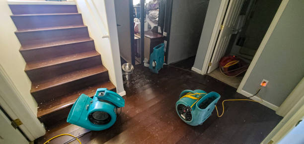 Best Water damage cleanup near me  in Dolgeville, NY
