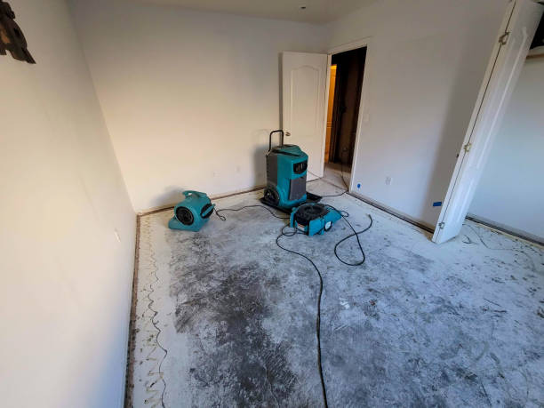Best Fire Damage Restoration  in Dolgeville, NY