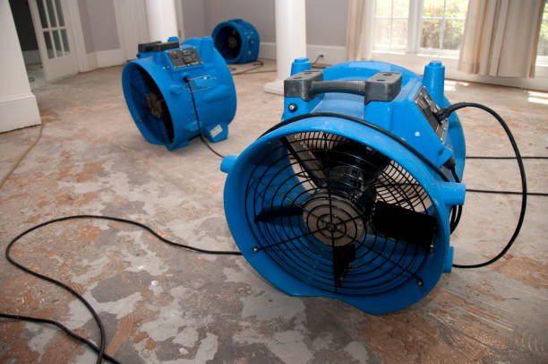 Best Water damage restoration process  in Dolgeville, NY