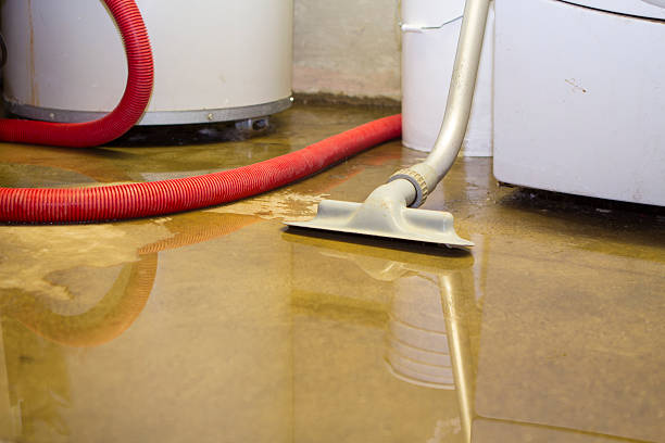 Best Water damage restoration near me  in Dolgeville, NY