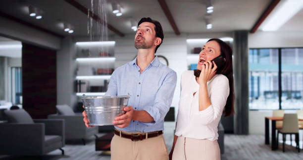 Best Water damage cleanup near me  in Dolgeville, NY
