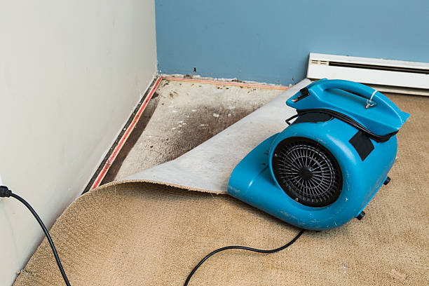 Best Water damage restoration near me  in Dolgeville, NY